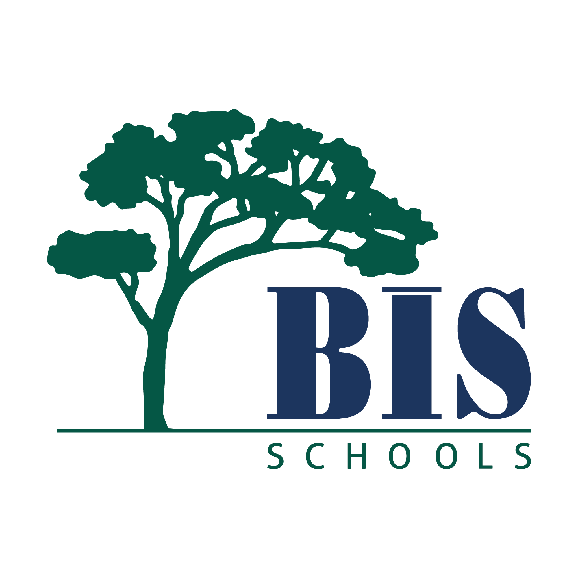 BIS Schools Zekeriyaköy logo
